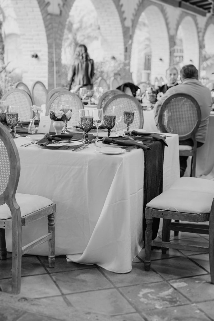 hortensia evento 30 tec9 bn